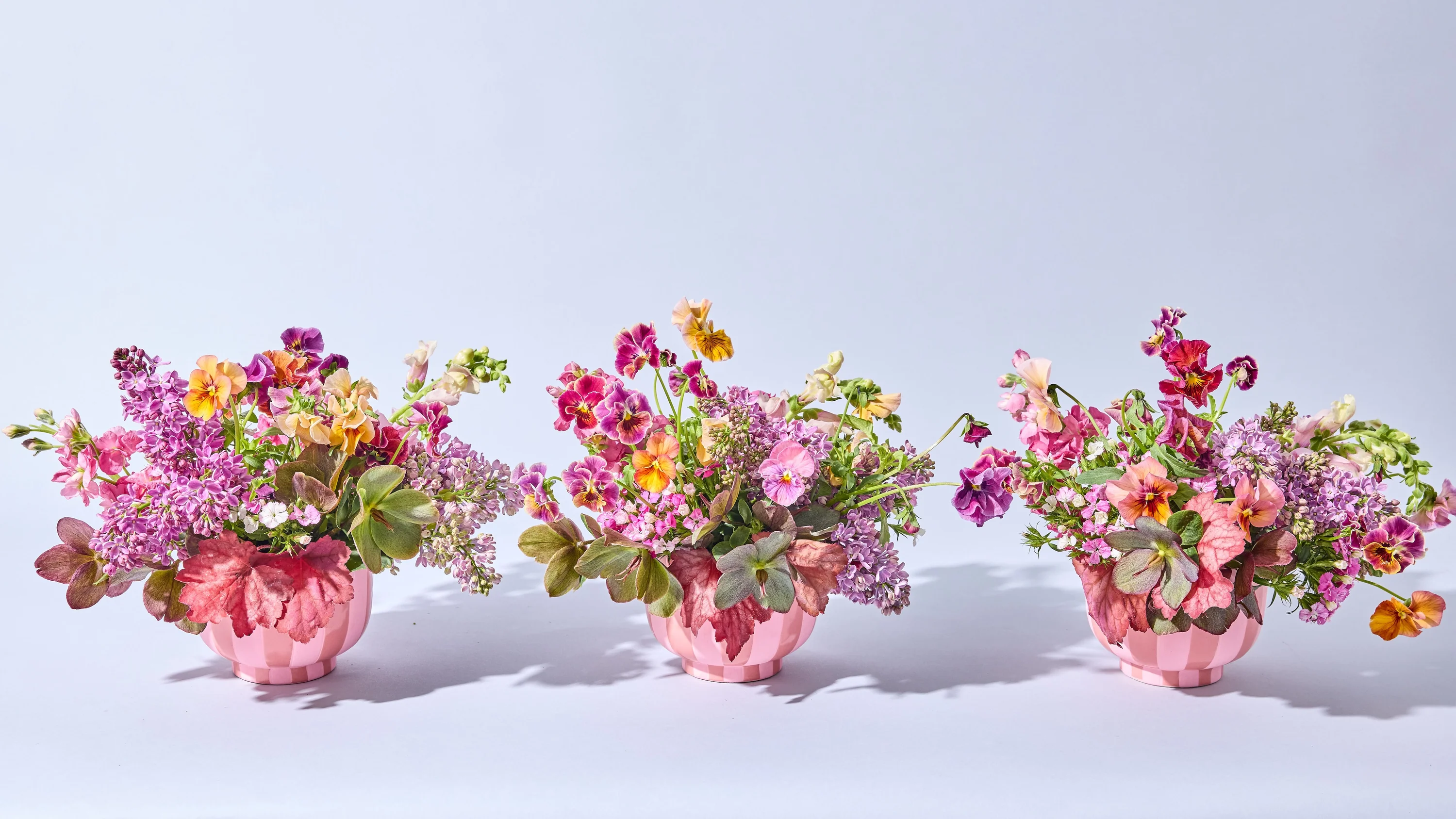 Cultivate Your Perfect Green Space