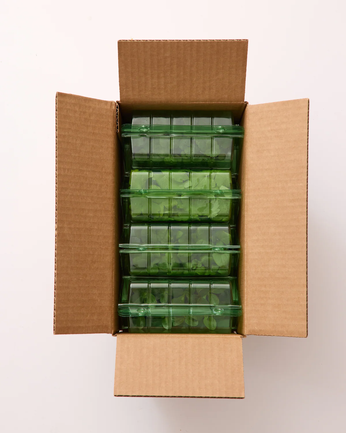 Champagne Celebration - Image 3